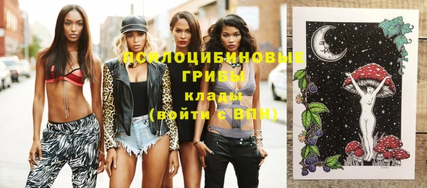 стафф Куйбышев