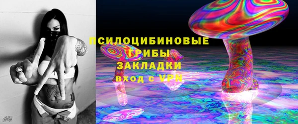 стафф Куйбышев