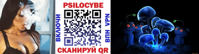 Псилоцибиновые грибы прущие грибы  Купить где  Иннополис 