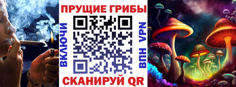 Псилоцибиновые грибы MAGIC MUSHROOMS Иннополис