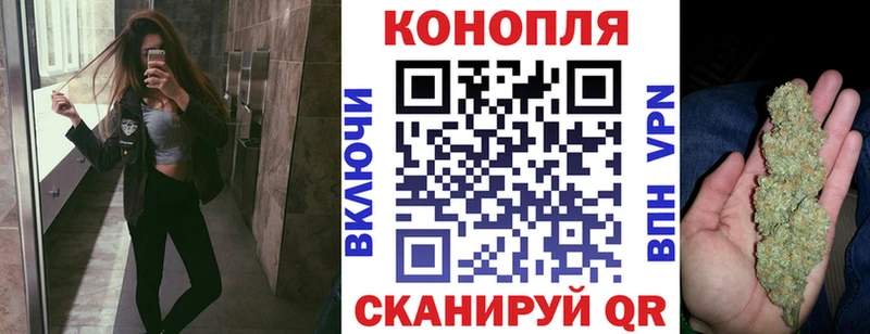 Купить где  Иннополис  Канабис ГИДРОПОН 